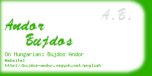 andor bujdos business card